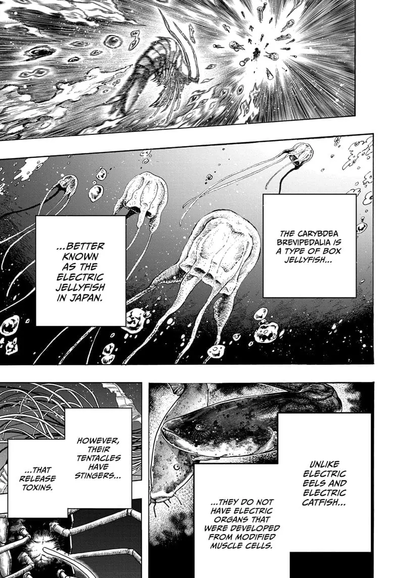 Dear Anemone β Chapter 11 β Page 17