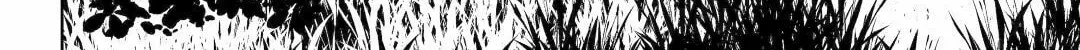 The Apothecary Diaries β Chapter 74 β Page 4