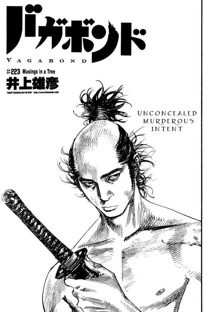 Vagabond Manga β Chapter 223 β Page 1