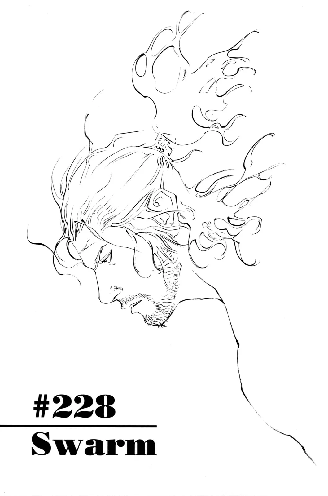 Vagabond Manga β Chapter 228 β Page 1