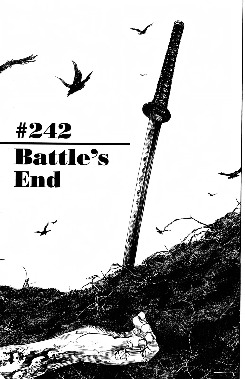 Vagabond Manga β Chapter 242 β Page 1