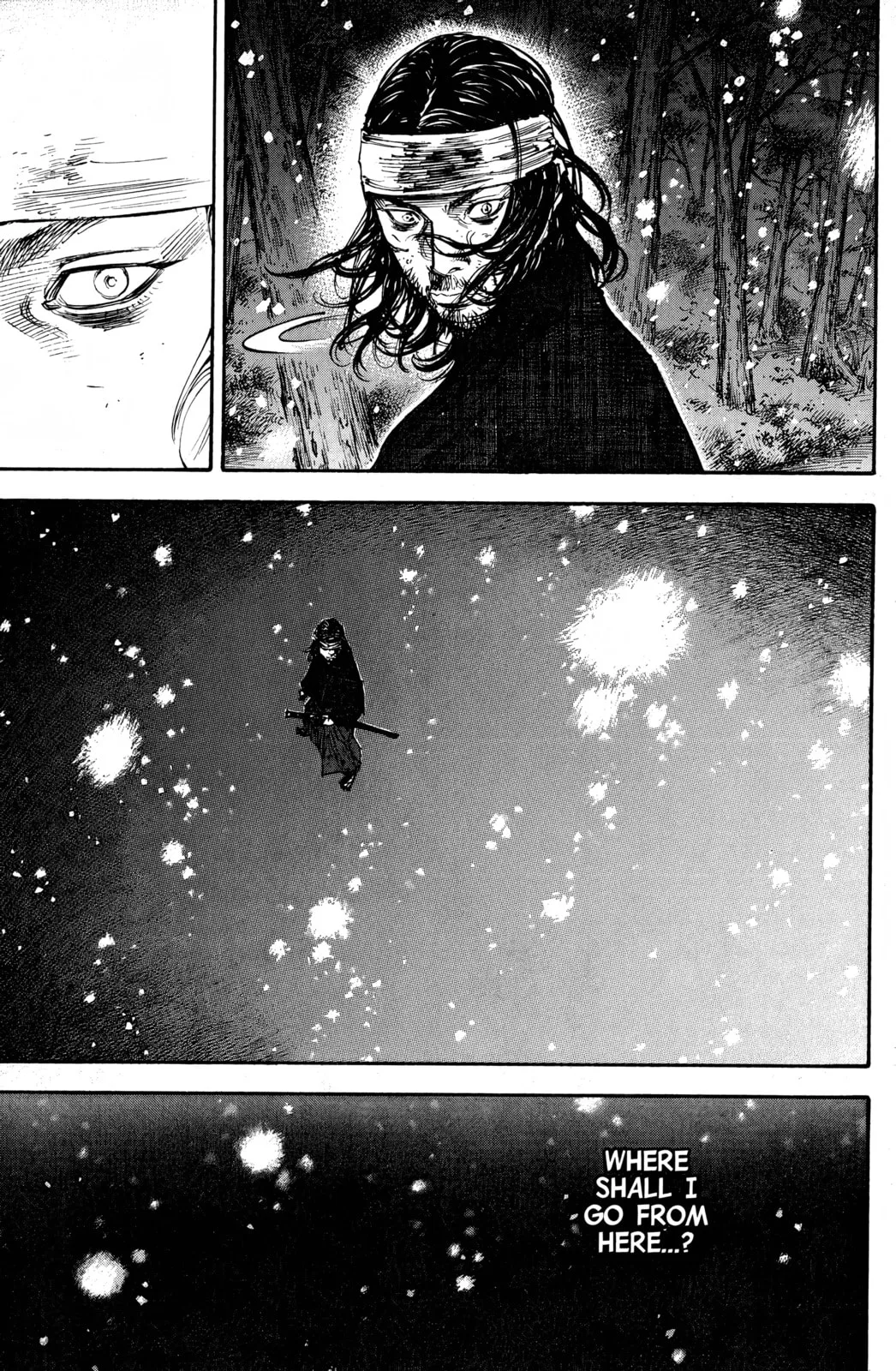 Vagabond Manga β Chapter 242 β Page 20