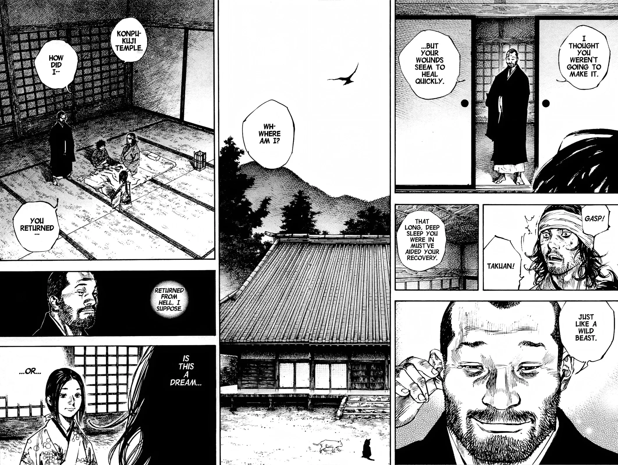 Vagabond Manga β Chapter 244 β Page 8