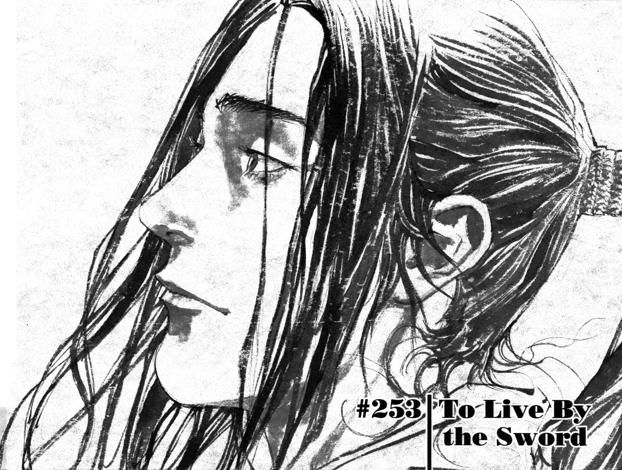Vagabond Manga — Chapter 253 — Page 2