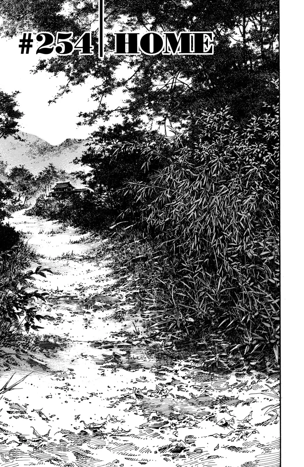 Vagabond Manga — Chapter 254 — Page 3