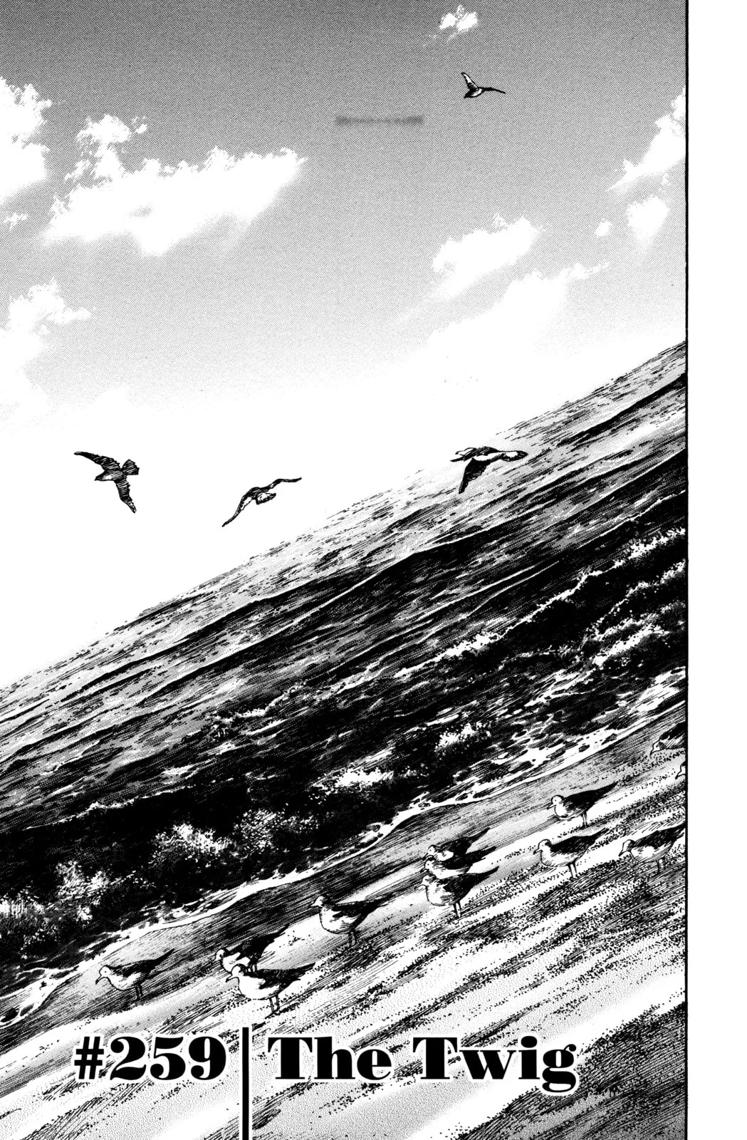 Vagabond Manga β Chapter 259 β Page 1