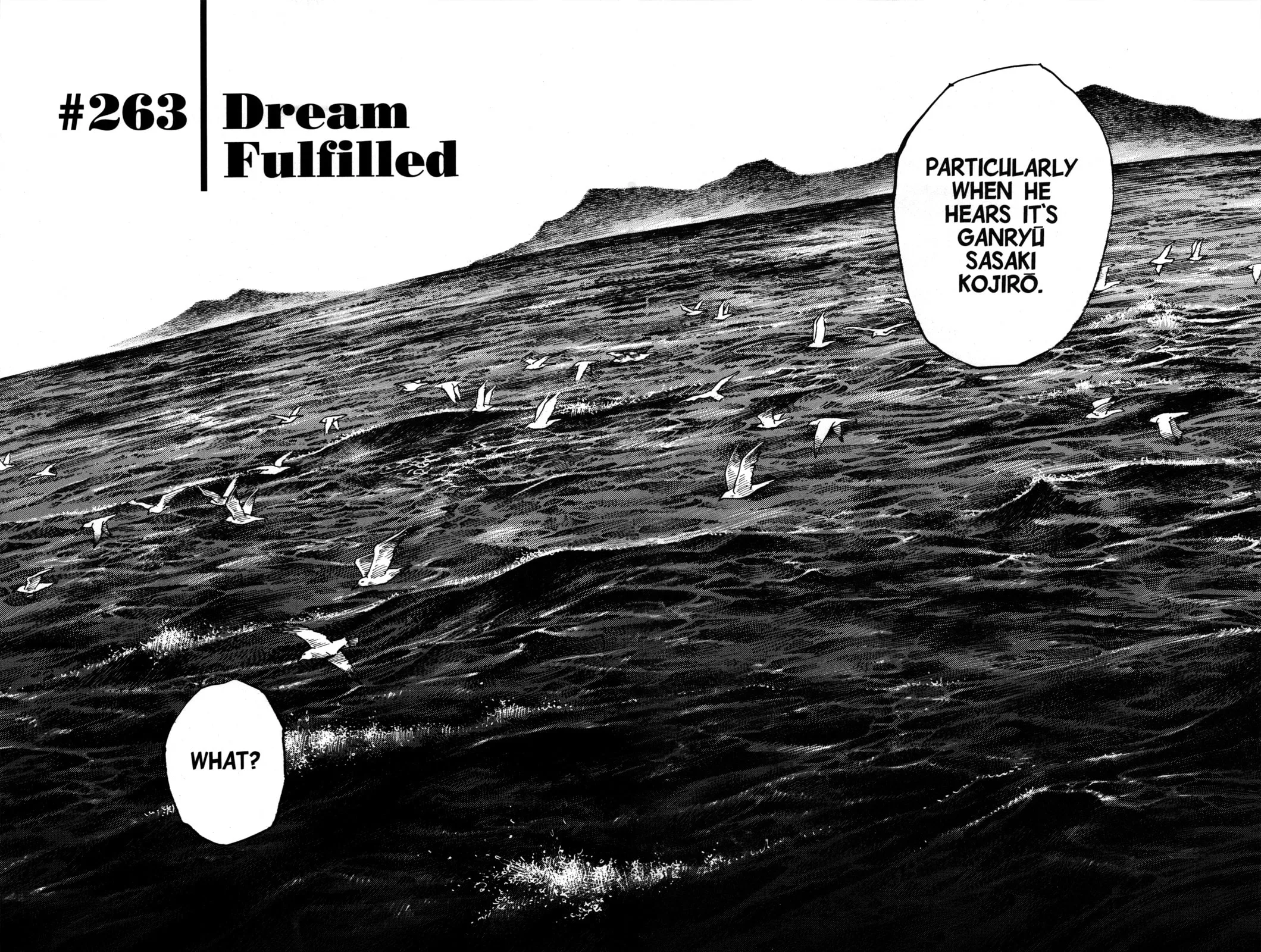Vagabond Manga β Chapter 263 β Page 2