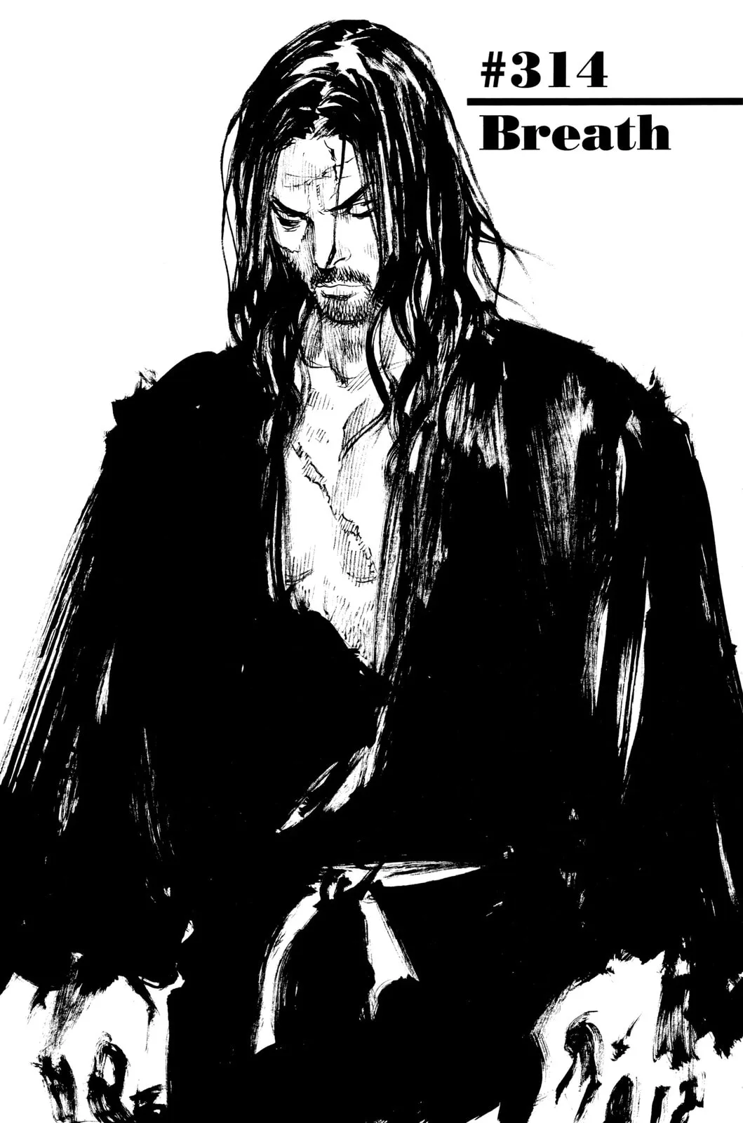 Vagabond Manga β Chapter 314 β Page 1