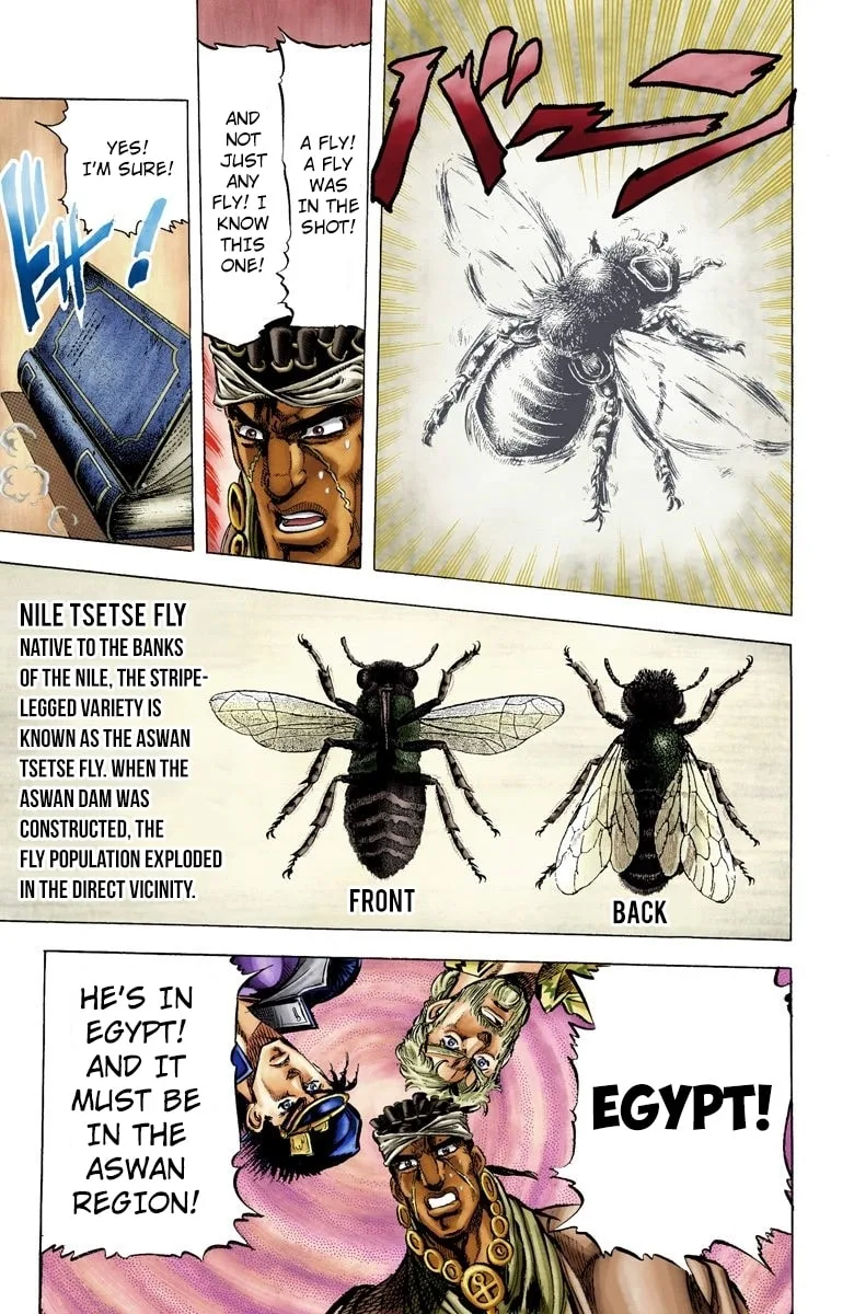 JoJo no Kimyou na Bouken Part 3: Stardust Crusaders Colored Manga β Chapter 8 β Page 17