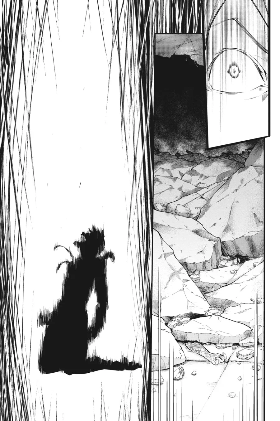 Bungo Stray Dogs β Chapter 47 β Page 49