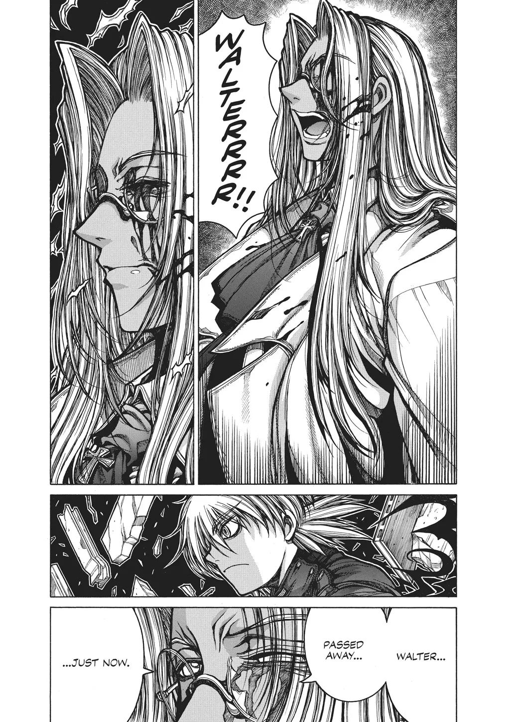 Hellsing β Chapter Vol 10 β Page 148