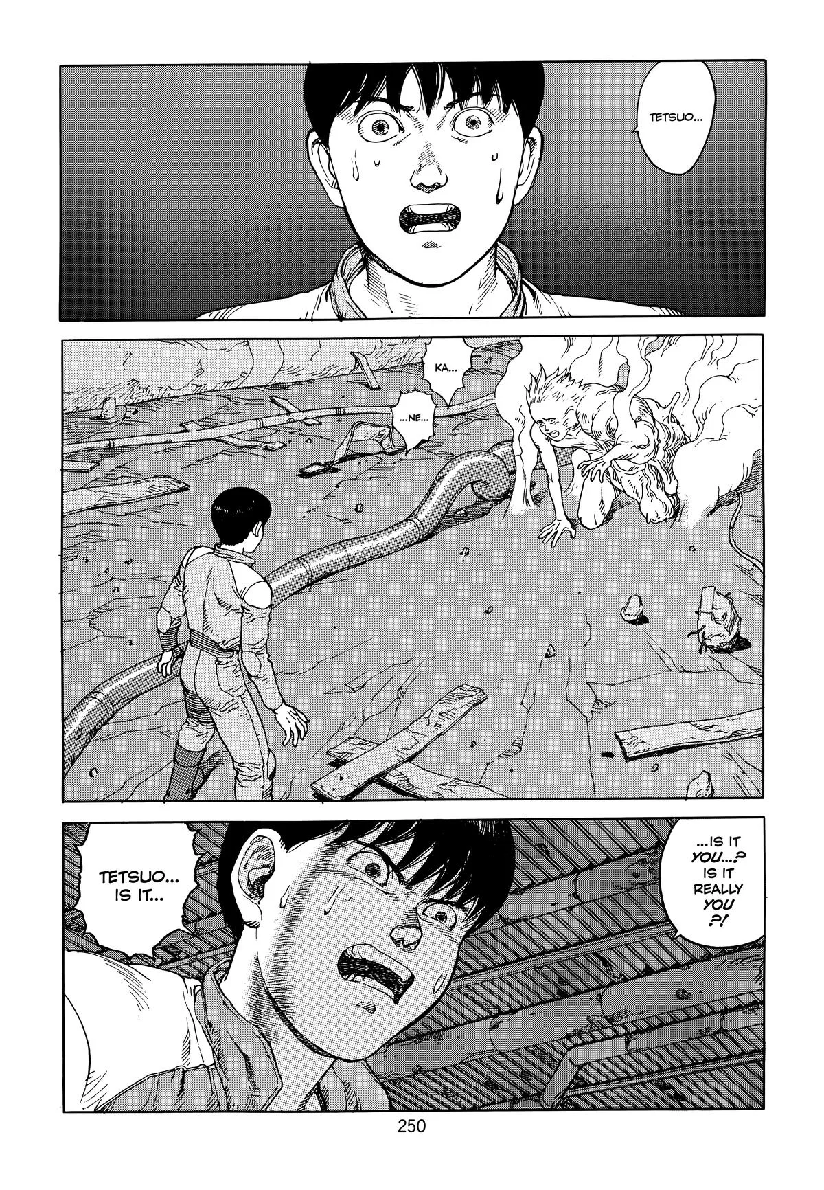 Akira β Chapter Vol 6 β Page 252