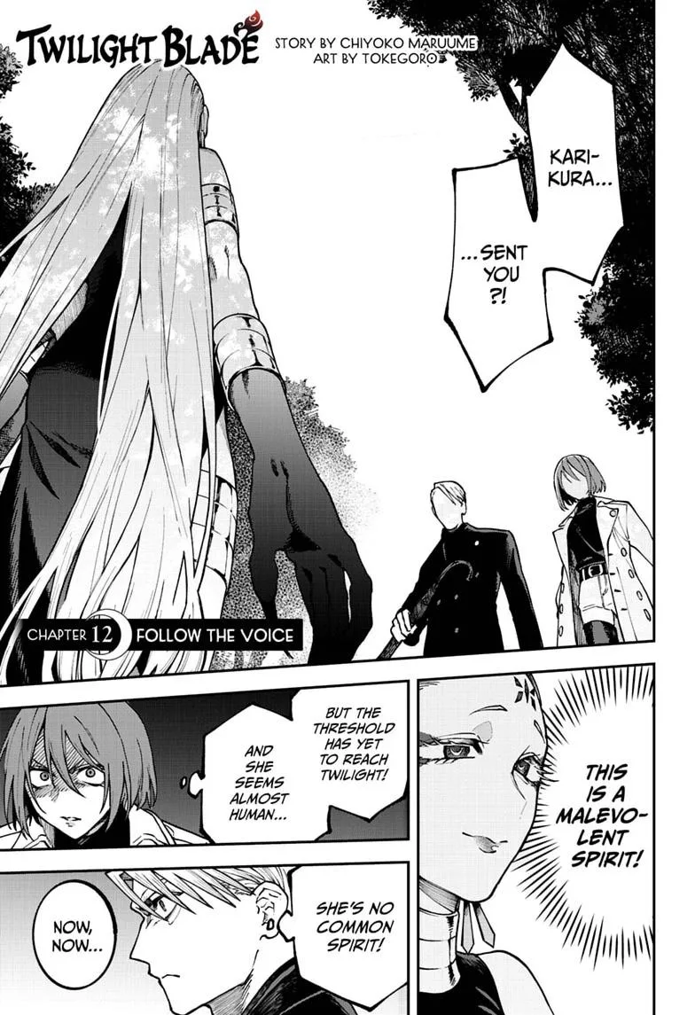 Twilight Blade β Chapter 12 β Page 1