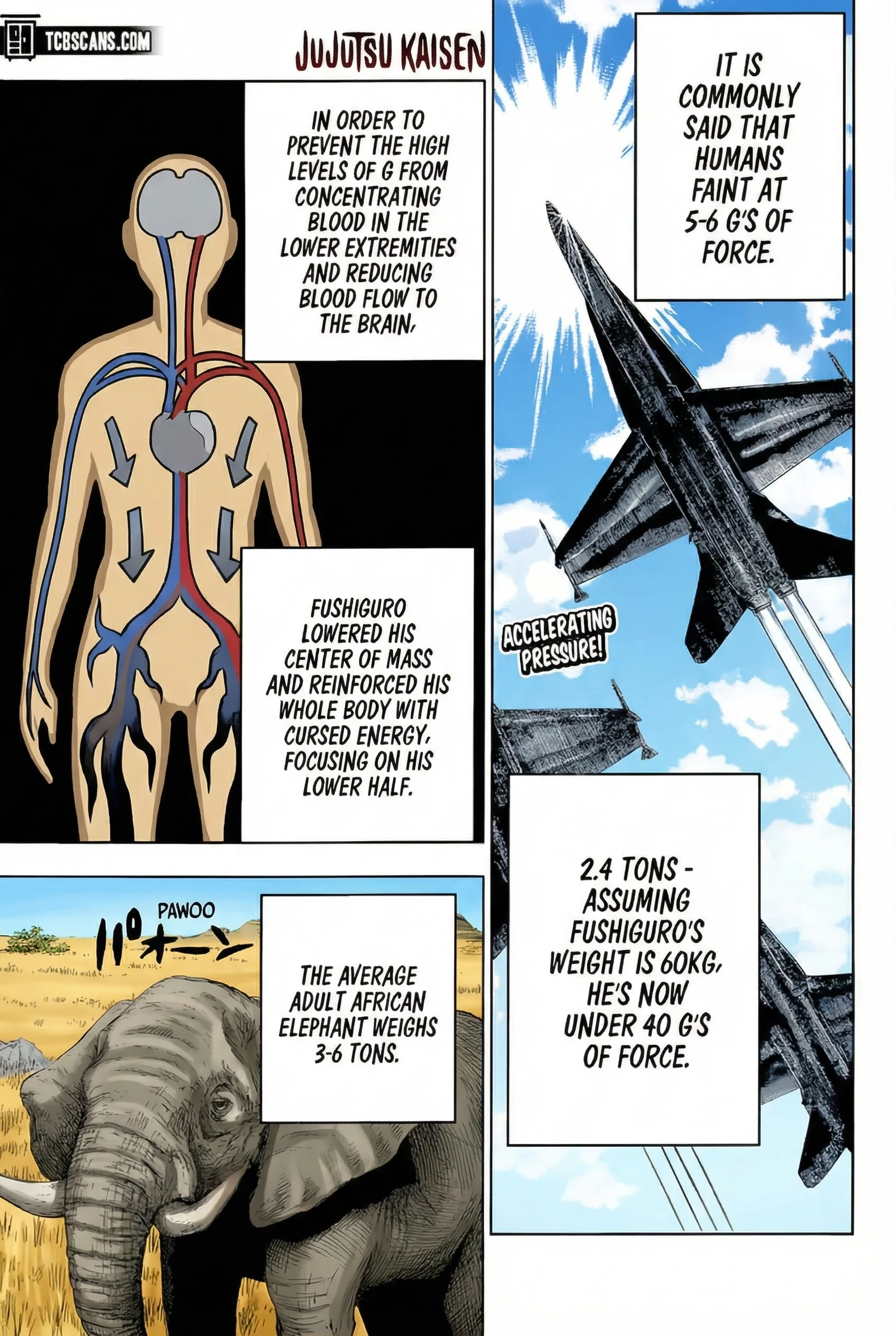 Jujutsu Kaisen Colored Manga JJK β Chapter 172 β Page 1