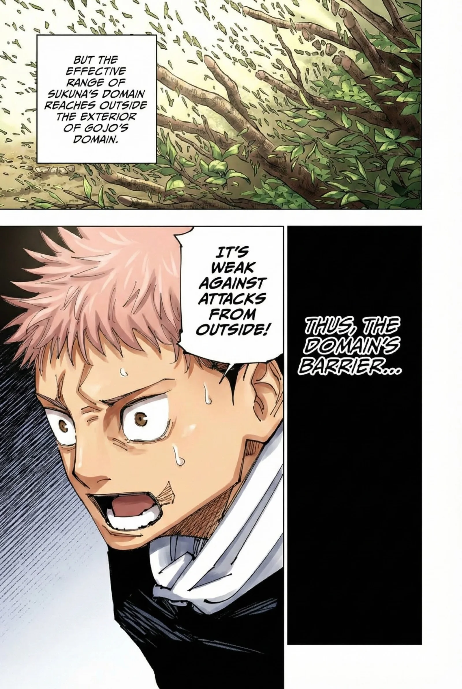 Jujutsu Kaisen Colored Manga JJK β Chapter 225 β Page 15